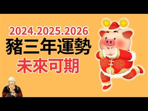 2024年生肖豬